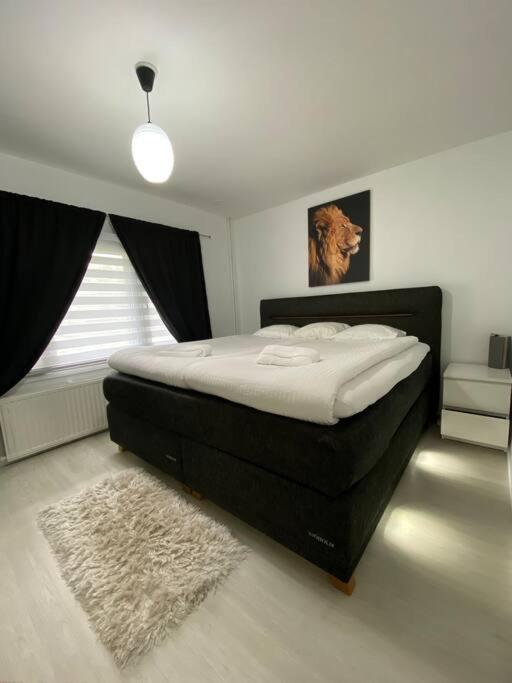 Апартаменти Modern Apt - King-Size Bed - Wifi -Self Check In Рованіемі Екстер'єр фото